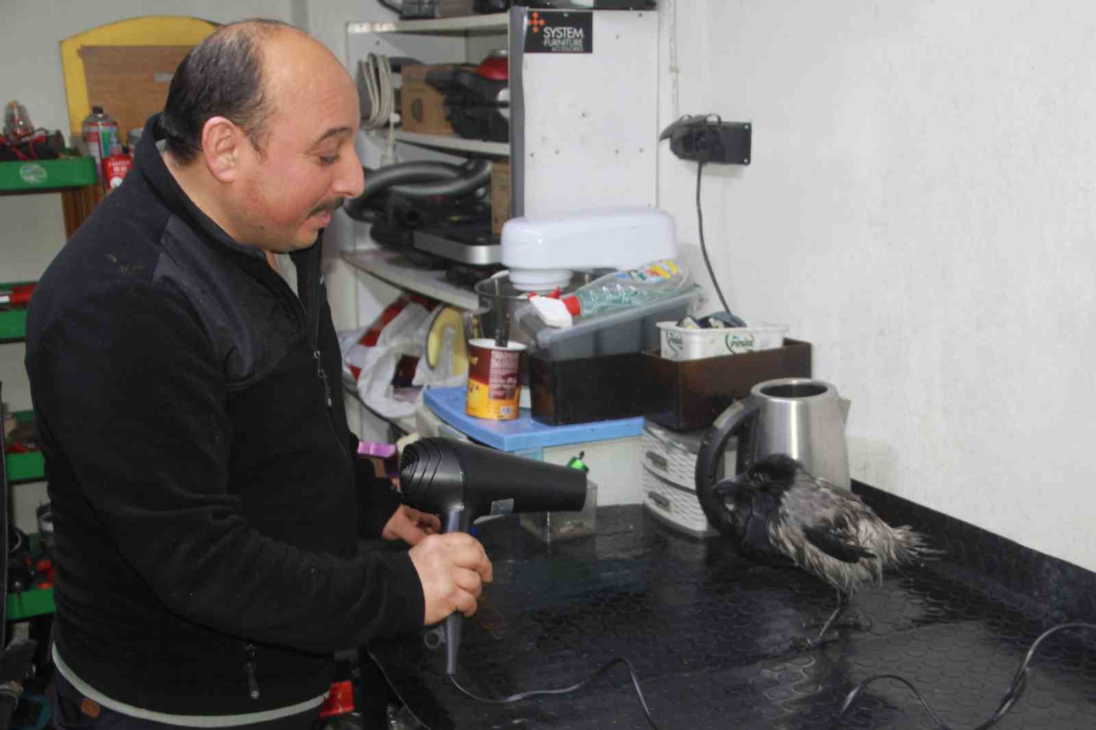 Tamirci çırağı karga
Tamirci çırağı karga