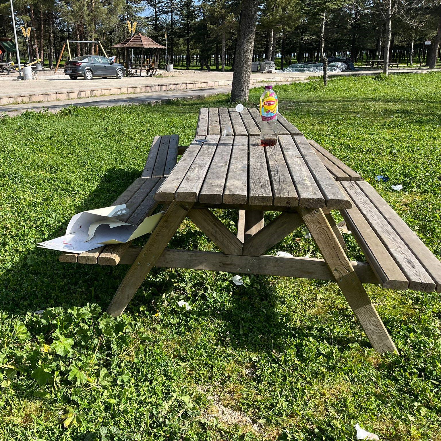 Tarihi alan çöplüğe döndü
