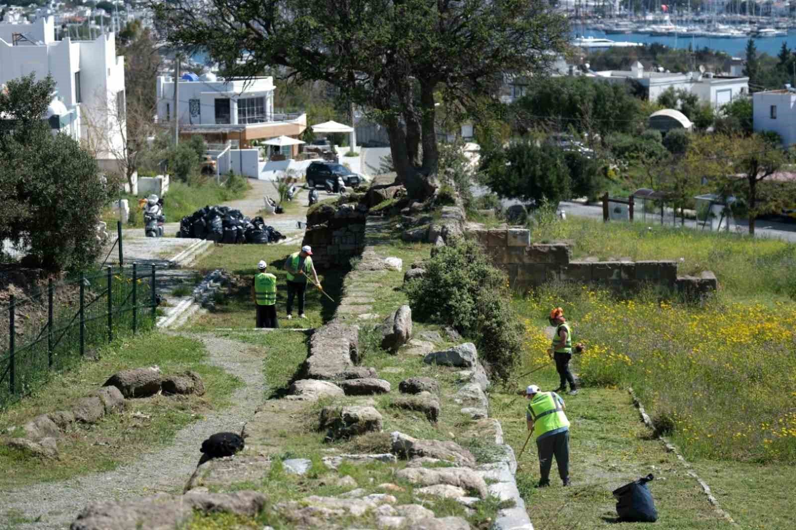 Tarihi surlarda kapsamlı temizlik çalışması
