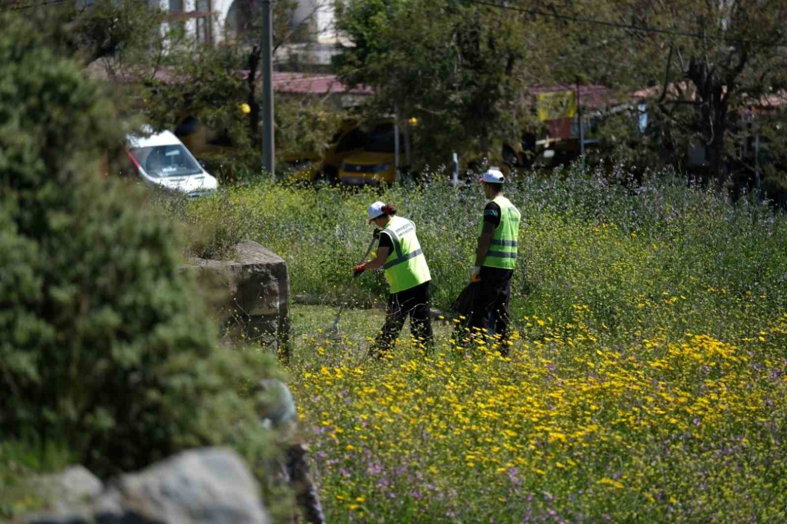 Tarihi surlarda kapsamlı temizlik çalışması
