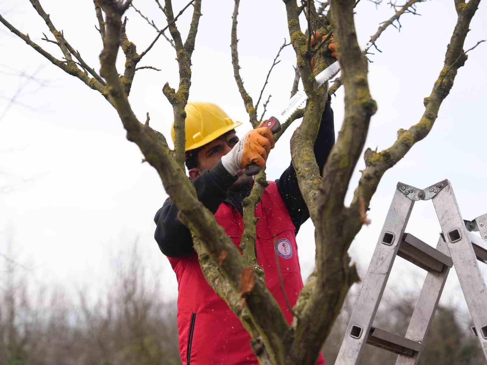 Tarım Akademisi’nden tarımsal kalkınmaya destek: Öğrenciler öğrendiklerini sahada uyguluyor
