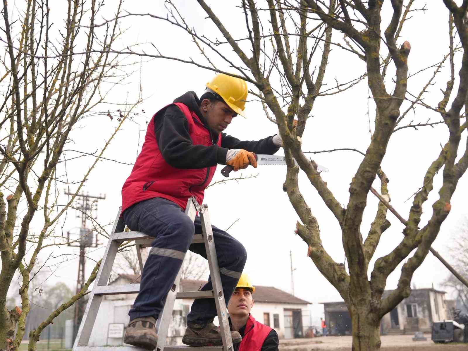 Tarım Akademisi’nden tarımsal kalkınmaya destek: Öğrenciler öğrendiklerini sahada uyguluyor
