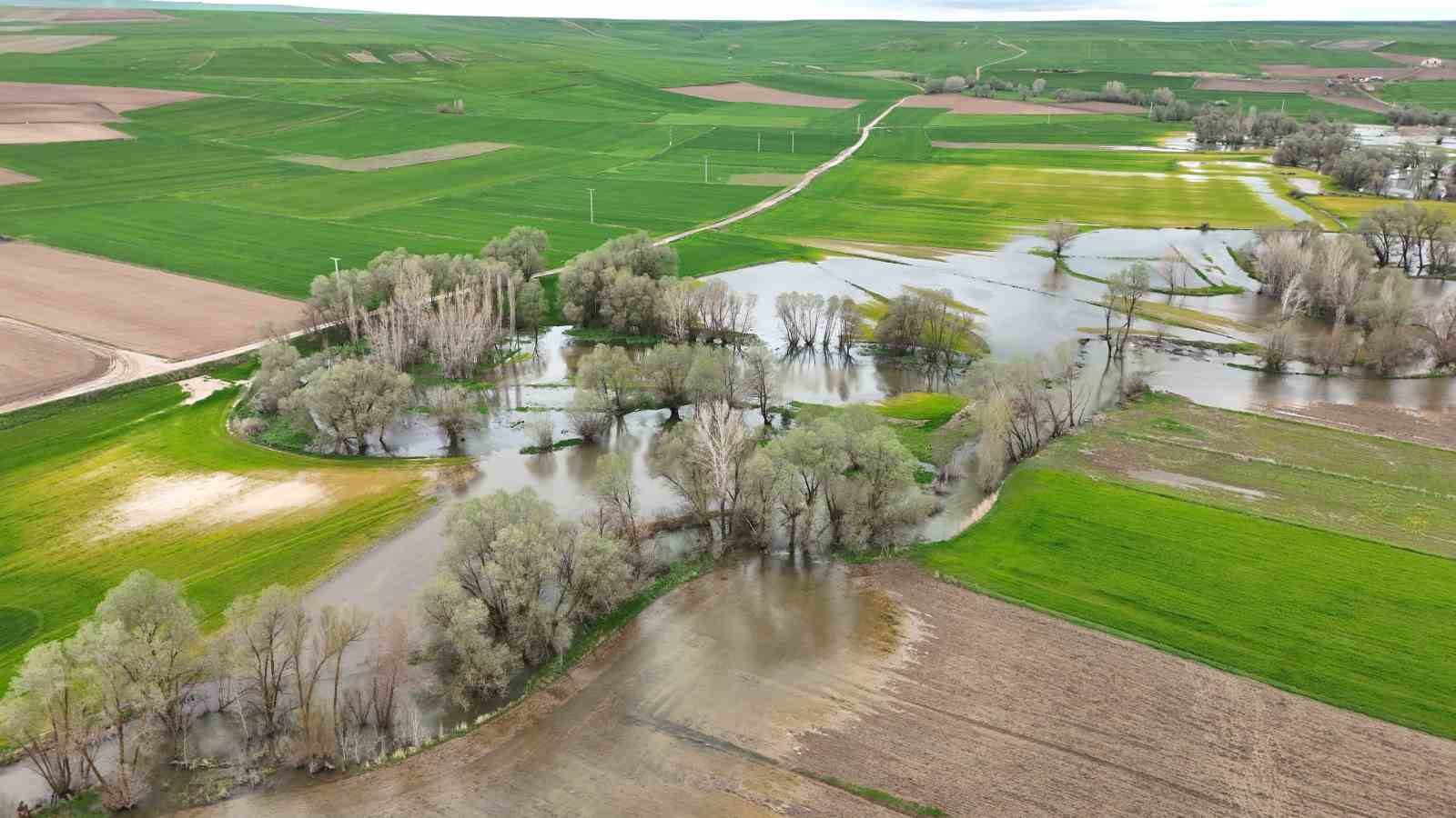 Tarım arazilerini sular altında bırakan Kanak Çayı dronla görüntülendi
