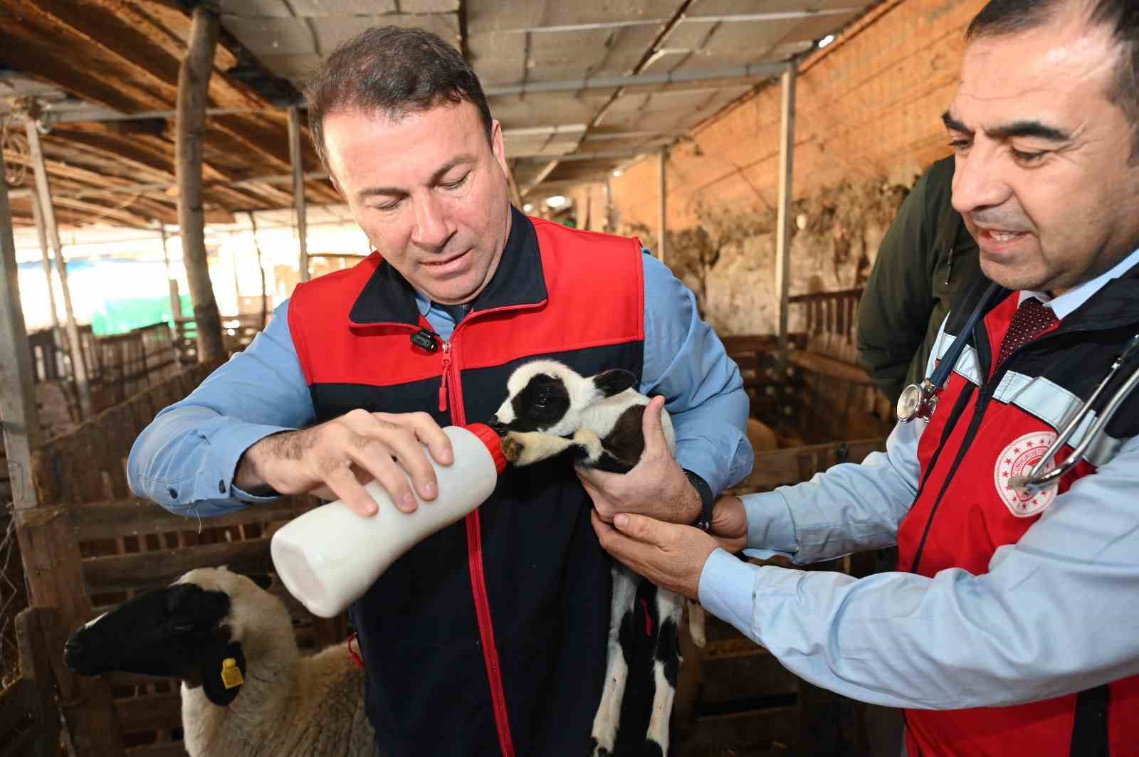 Tarım teşkilatı koyunu 9 doğuran besiciyi ziyaret etti
