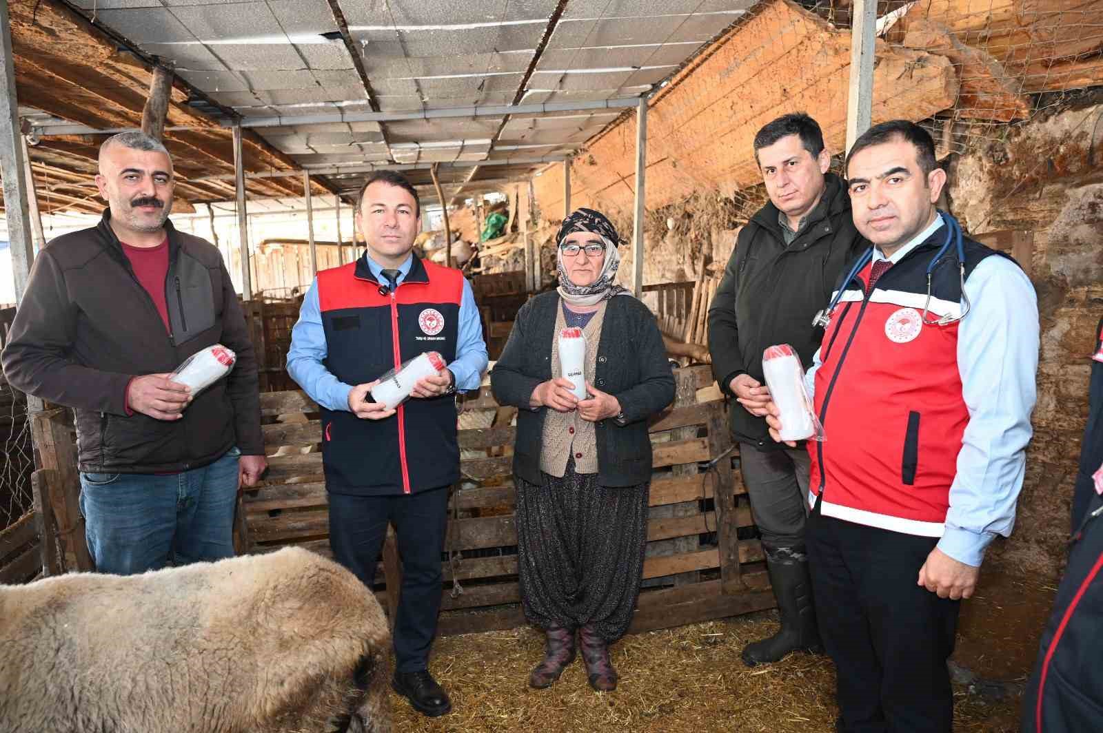 Tarım teşkilatı koyunu 9 doğuran besiciyi ziyaret etti
