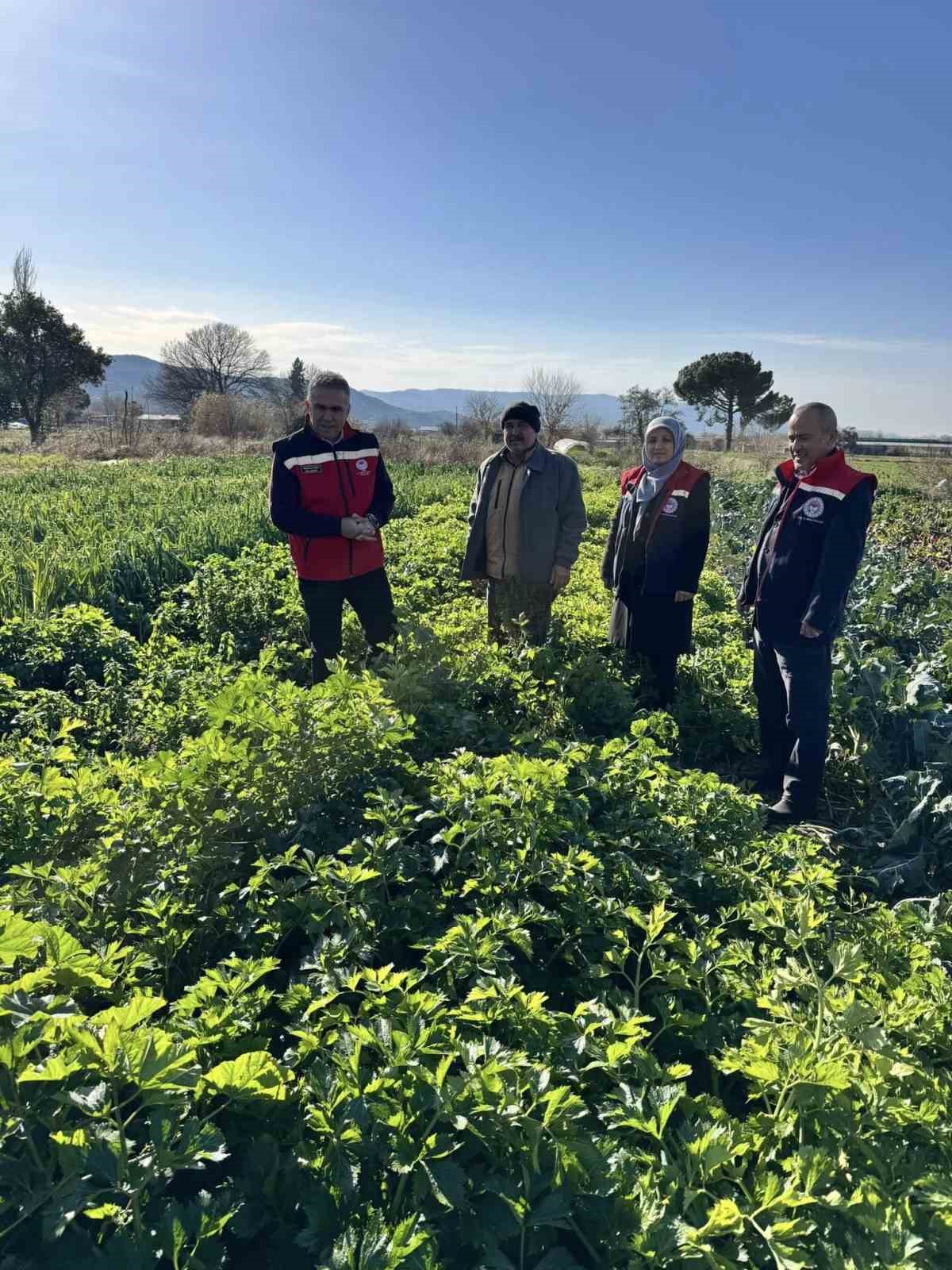 Tarımda kimyasalsız üretime yerinde inceleme
