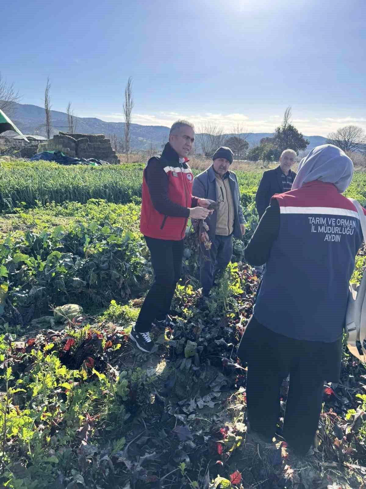 Tarımda kimyasalsız üretime yerinde inceleme
