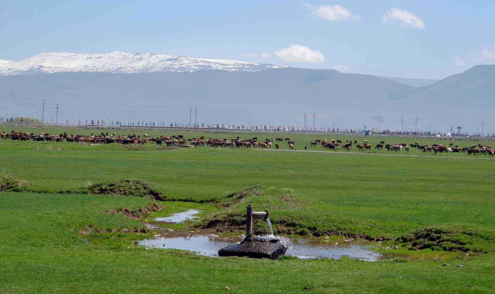 Tarımda önder üretici modeli vurgusu
Tarımda önder üretici modeli vurgusu