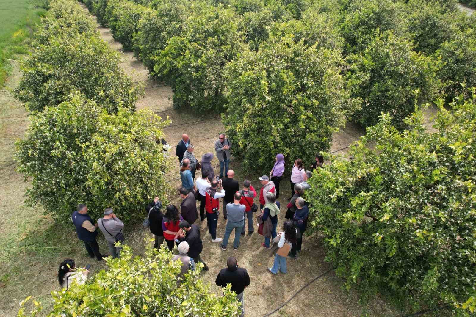 Tarımda yeni dönem başlıyor
