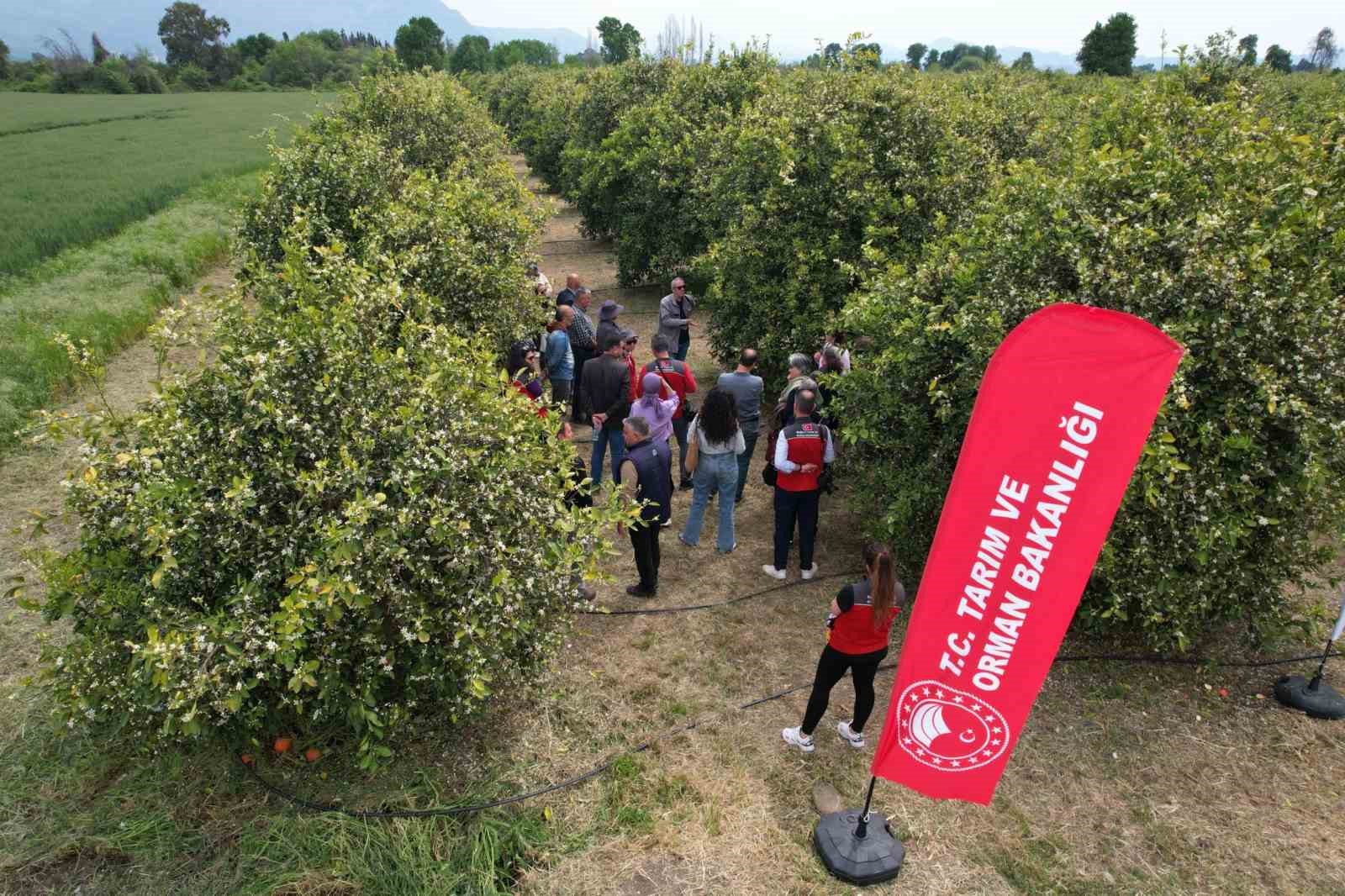 Tarımda yeni dönem başlıyor
