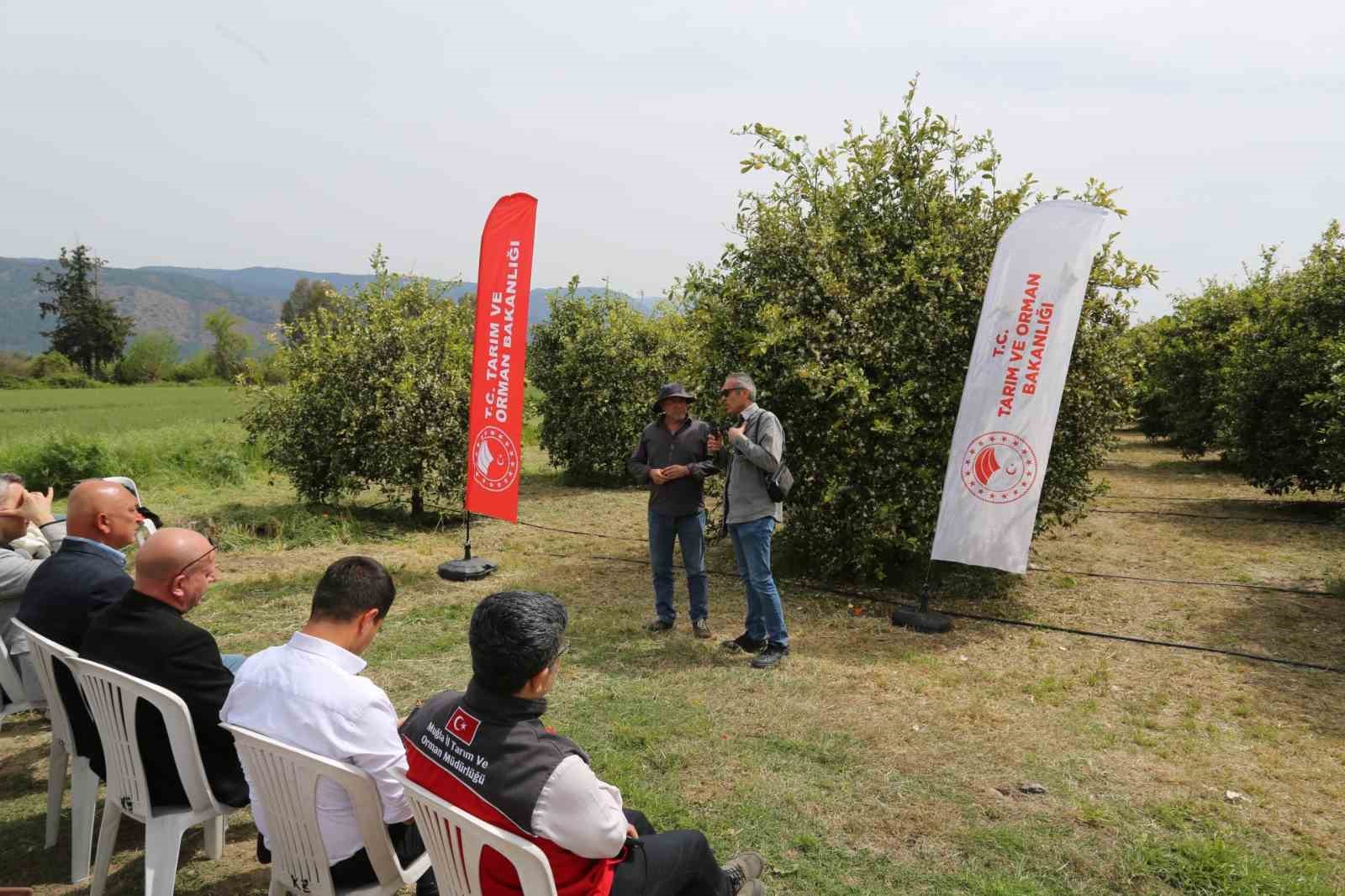 Tarımda yeni dönem başlıyor
