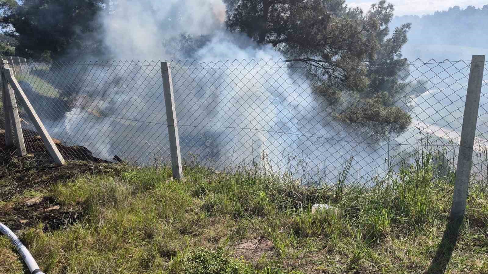 Tarlasındaki otları temizlerken ormanlık alanı yaktı
