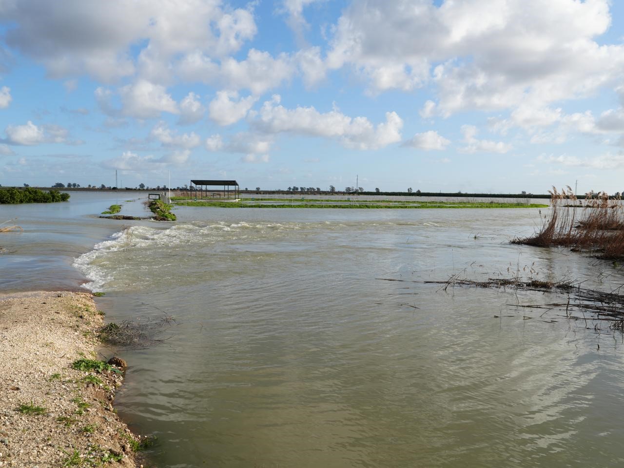 Tarsus Belediyesi sel ve fırtına sonrası zarar tespiti için sahada
Tarsus Belediyesi sel ve fırtına sonrası zarar tespiti için sahada