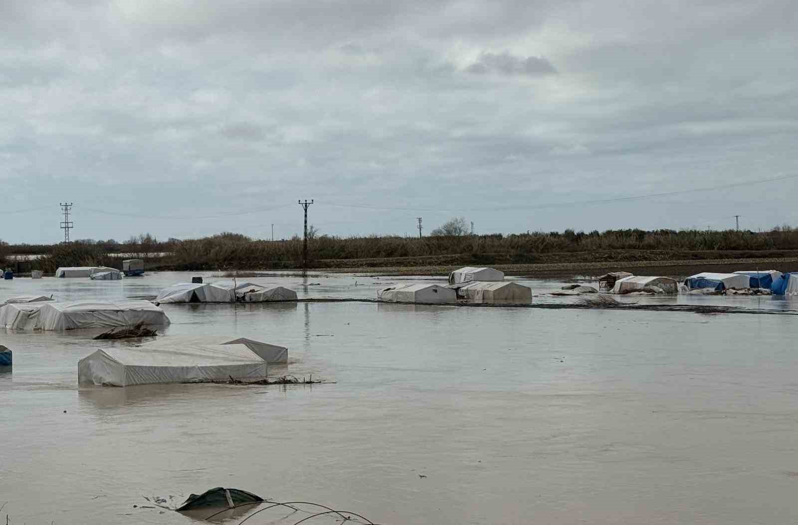 Tarsus’ta 8 bin dönüm tarım arazisi sular altında kaldı
Tarsus’ta 8 bin dönüm tarım arazisi sular altında kaldı