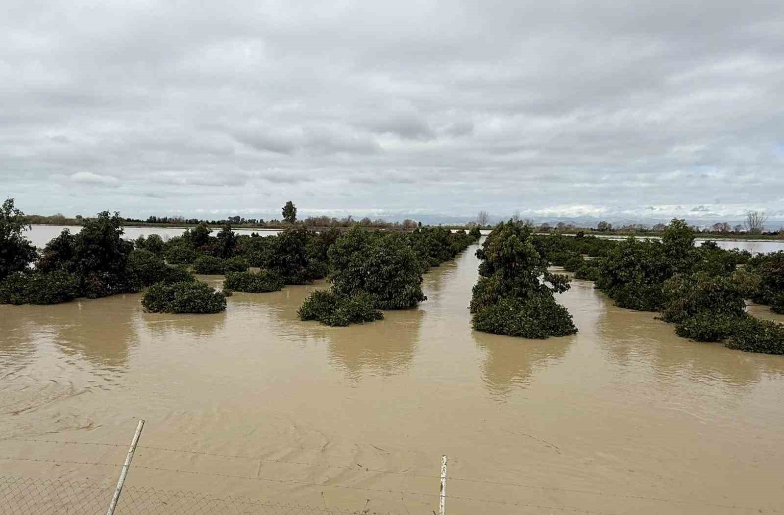 Tarsus’ta 8 bin dönüm tarım arazisi sular altında kaldı
Tarsus’ta 8 bin dönüm tarım arazisi sular altında kaldı
