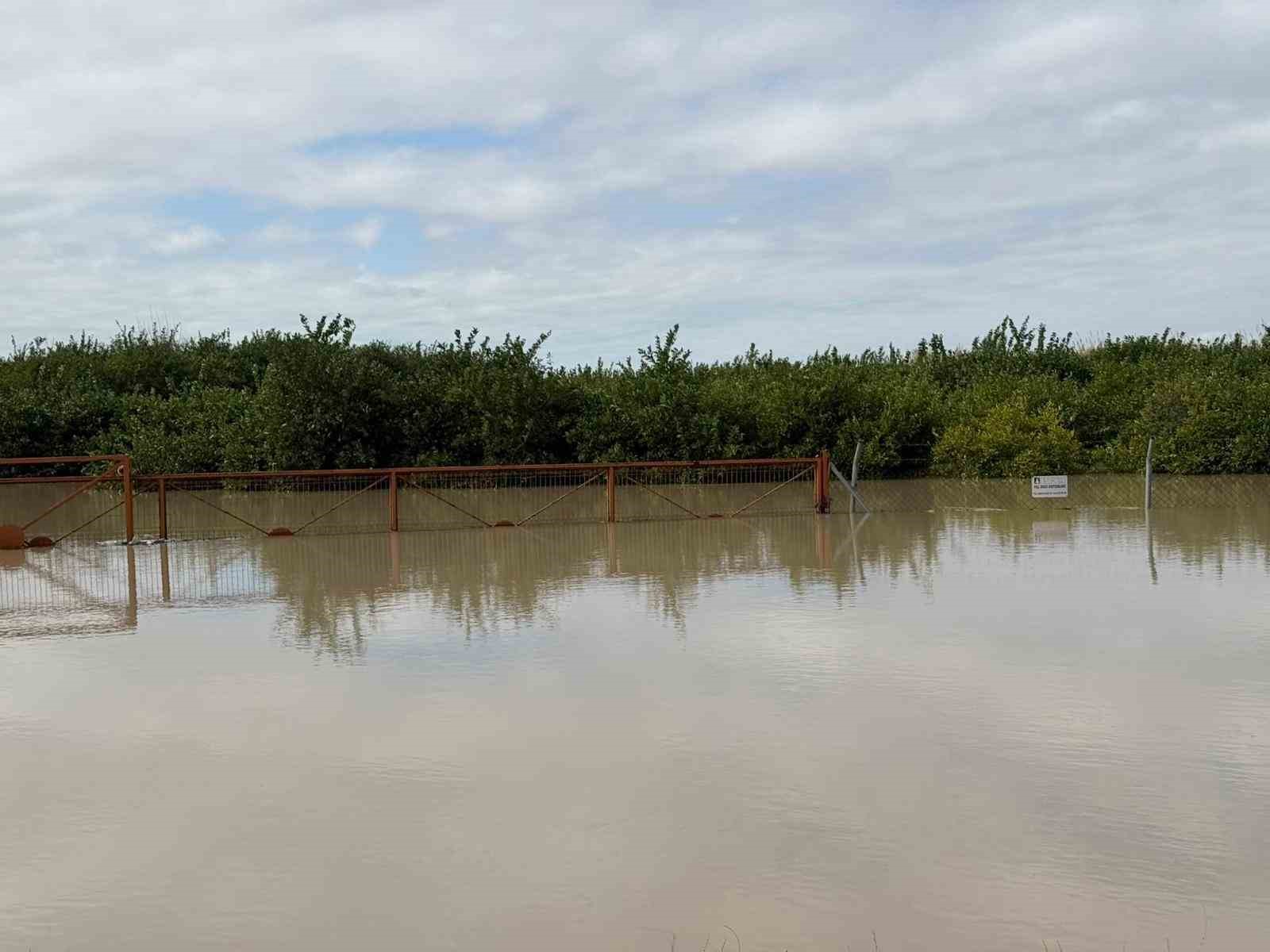 Tarsus’ta 8 bin dönüm tarım arazisi sular altında kaldı
Tarsus’ta 8 bin dönüm tarım arazisi sular altında kaldı