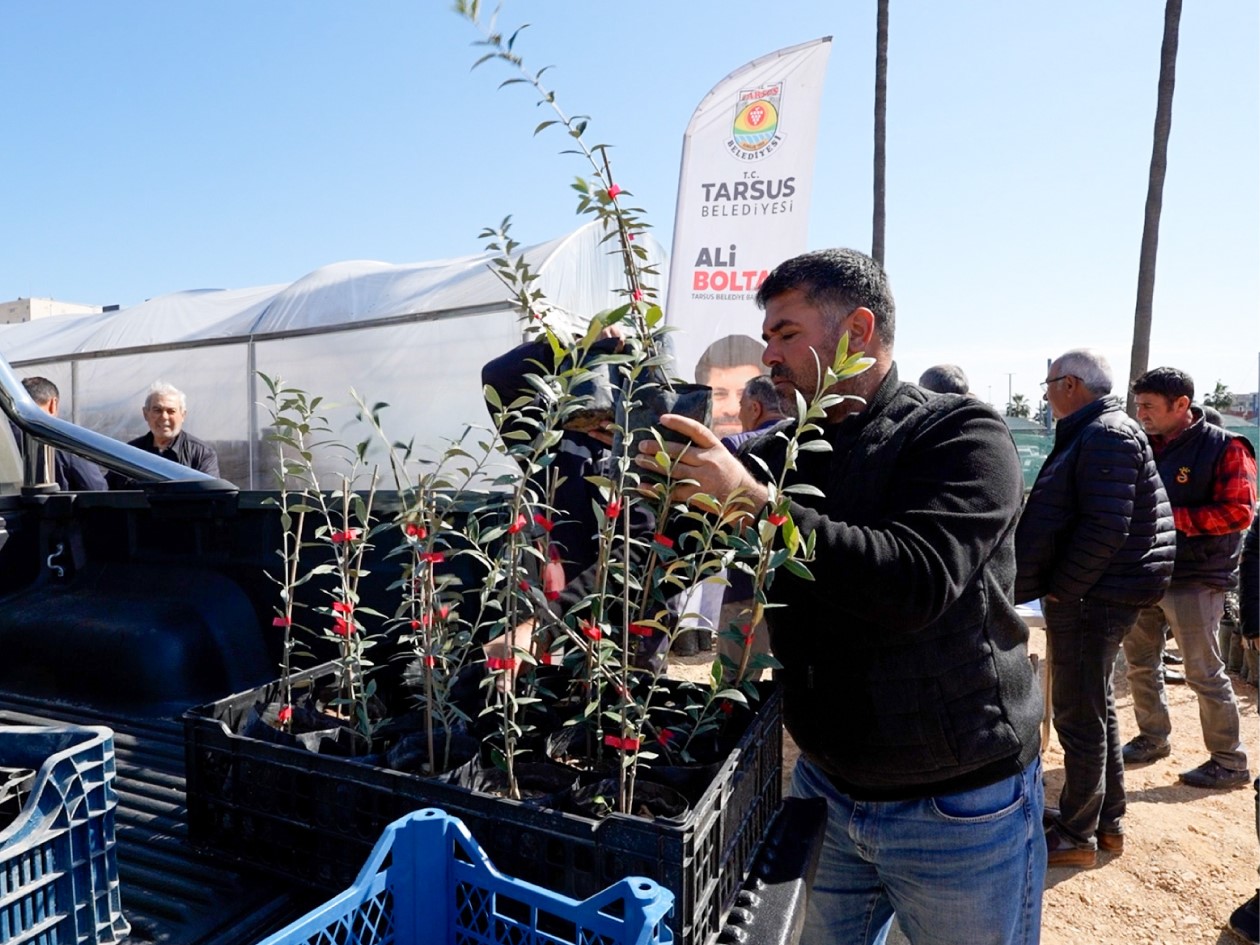 Tarsus’ta zeytinyağında kalite yarışması düzenlendi
