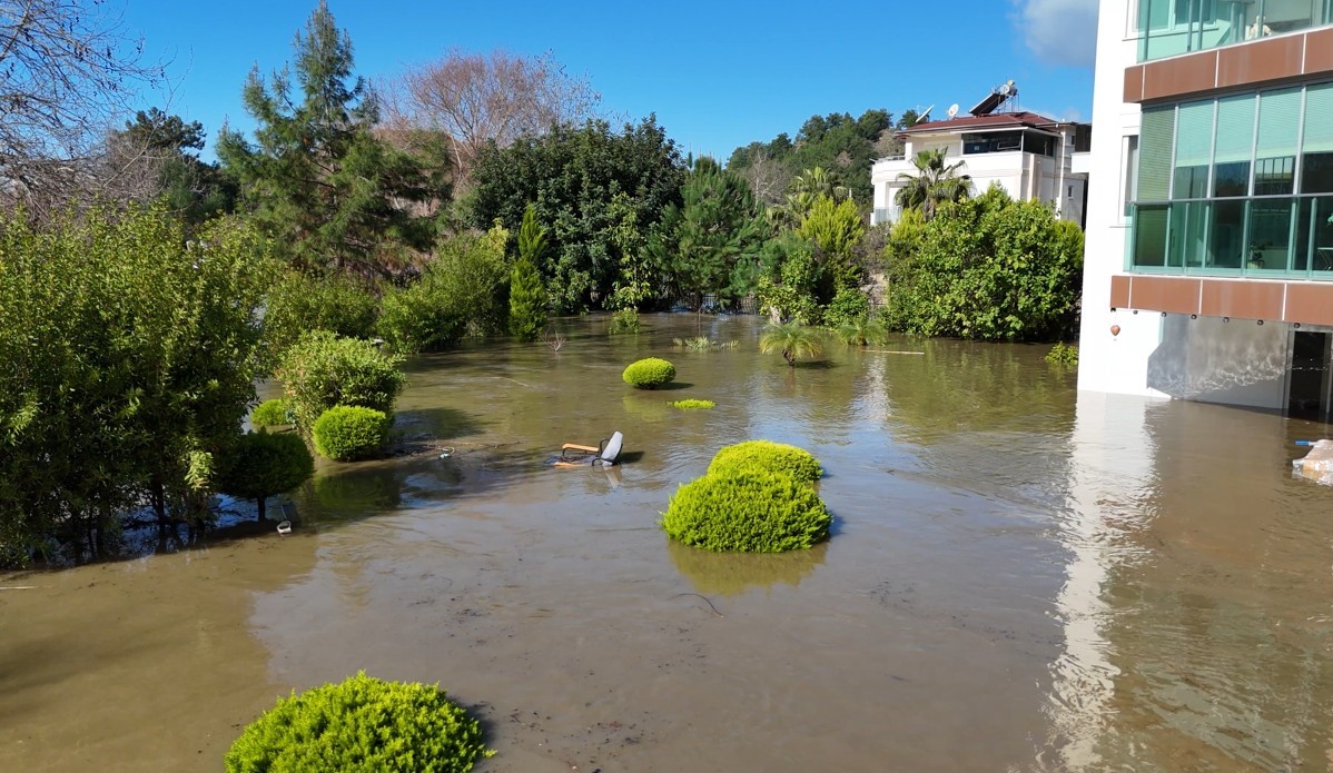 Taşan çaydaki işletme yıkıldı, sulara kapılmak üzere olan bir köpek son anda kurtarıldı
