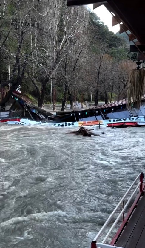 Taşan çaydaki işletme yıkıldı, sulara kapılmak üzere olan bir köpek son anda kurtarıldı
