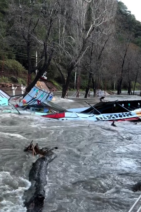 Taşan çaydaki işletme yıkıldı, sulara kapılmak üzere olan bir köpek son anda kurtarıldı

