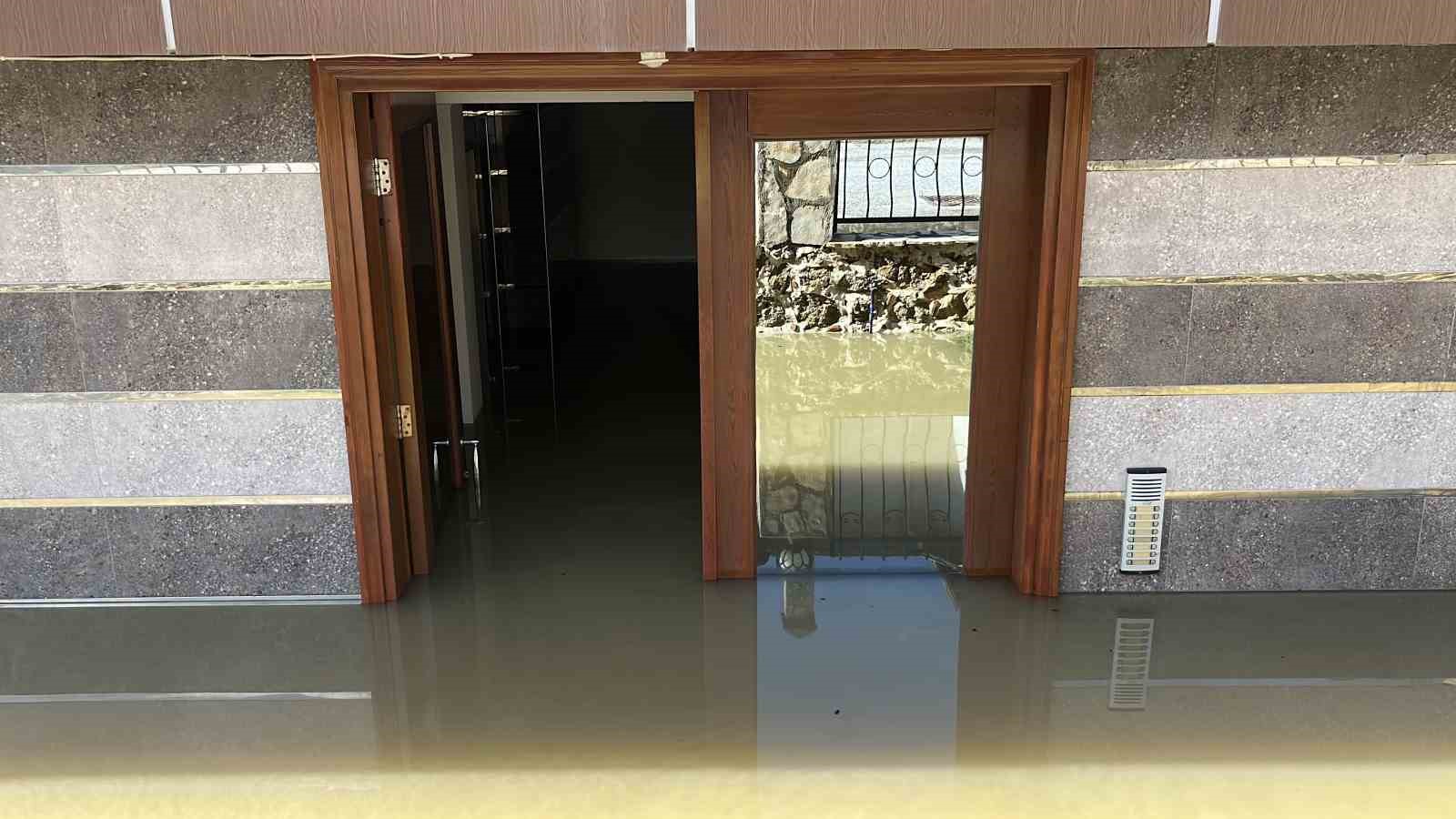 Taşan çaydaki işletme yıkıldı, sulara kapılmak üzere olan bir köpek son anda kurtarıldı
