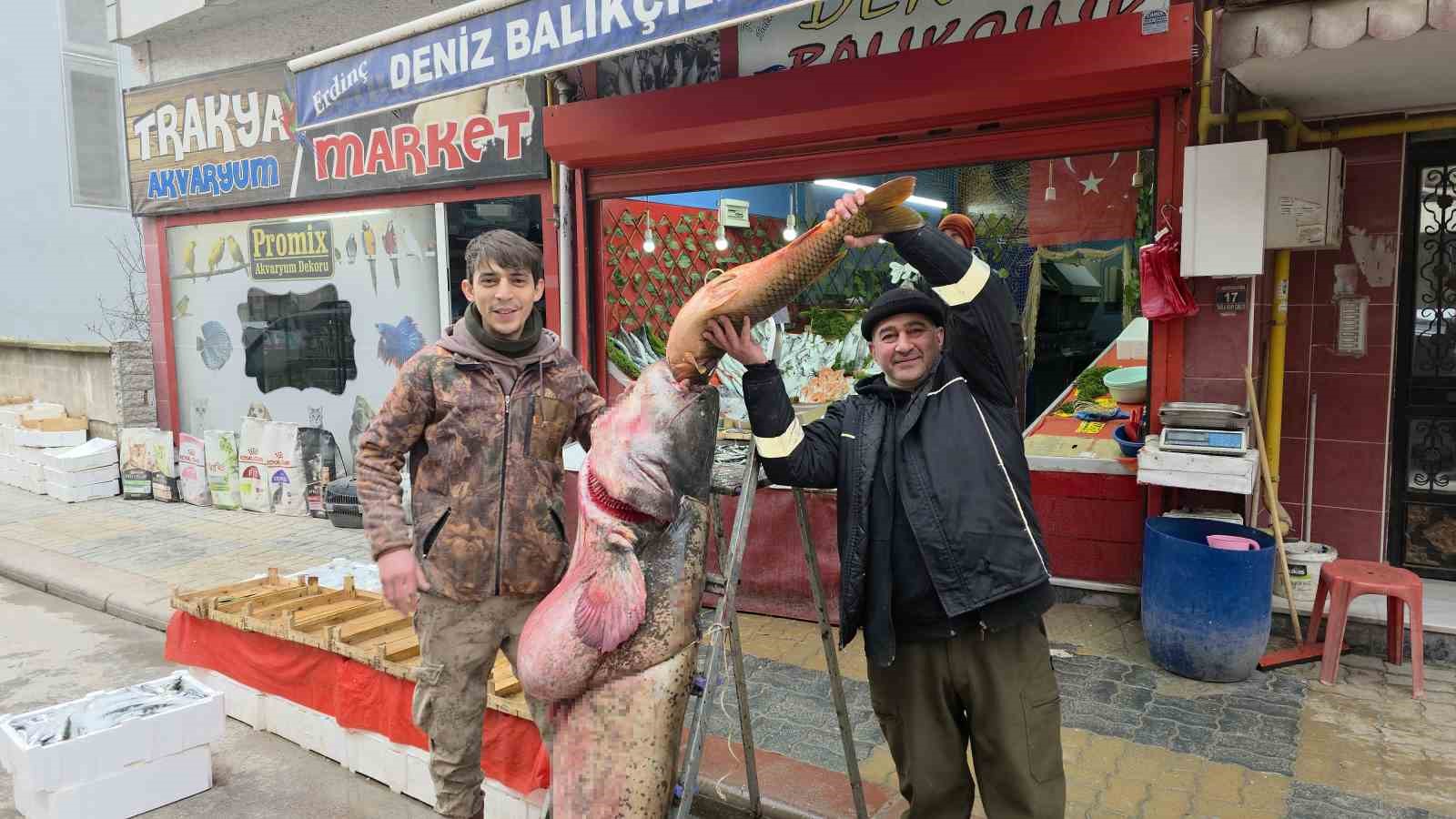 Taşkın dev balığı kıyıya attı: 102 kilo, 2.40 metre
