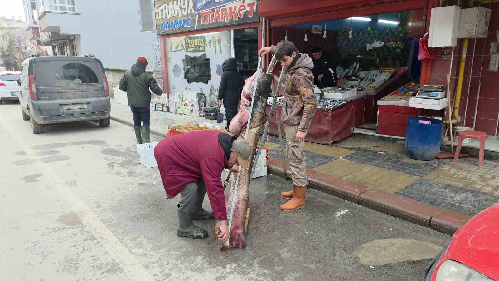 Taşkın dev balığı kıyıya attı: 102 kilo, 2.40 metre
