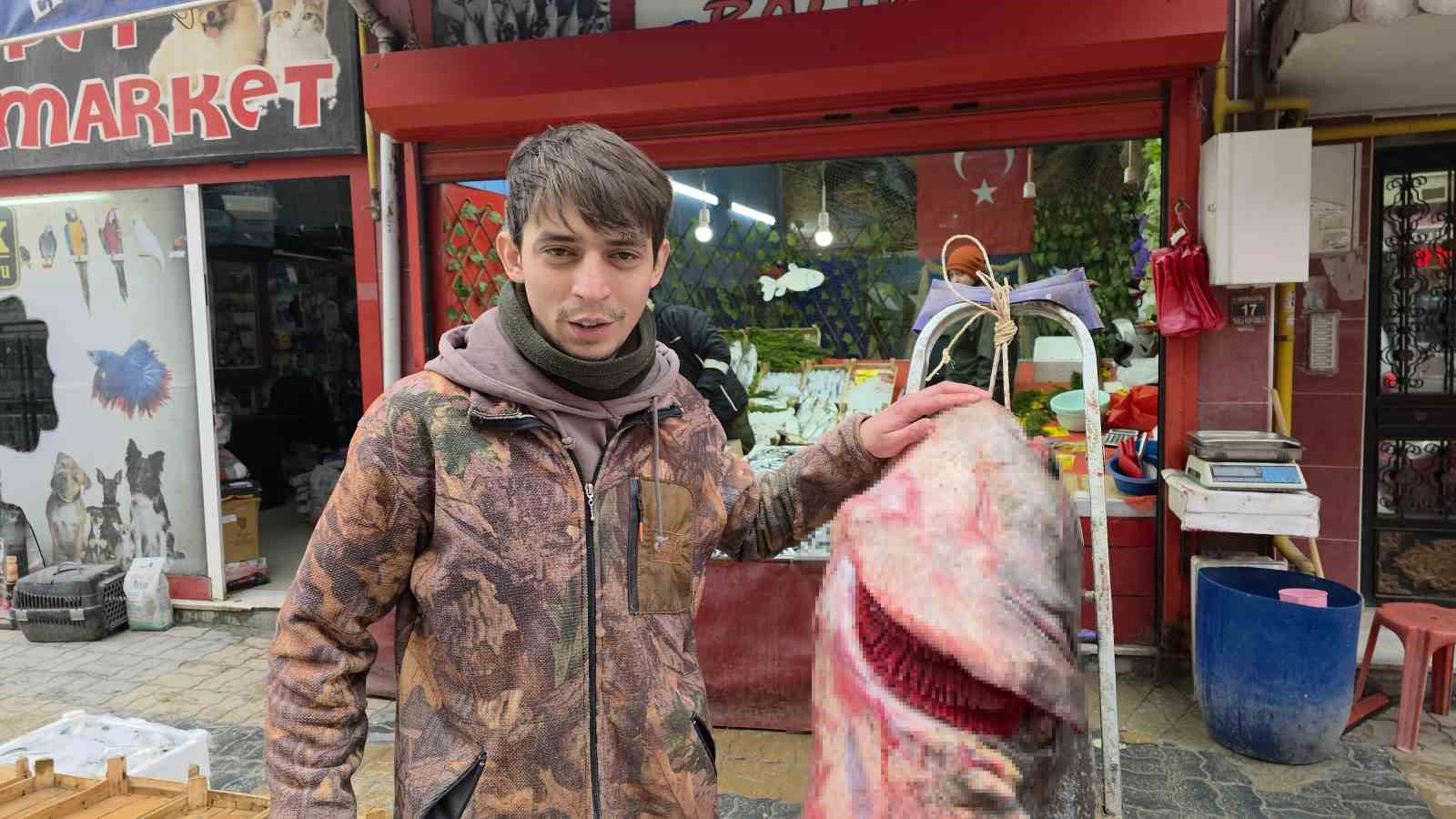 Taşkın dev balığı kıyıya attı: 102 kilo, 2.40 metre
