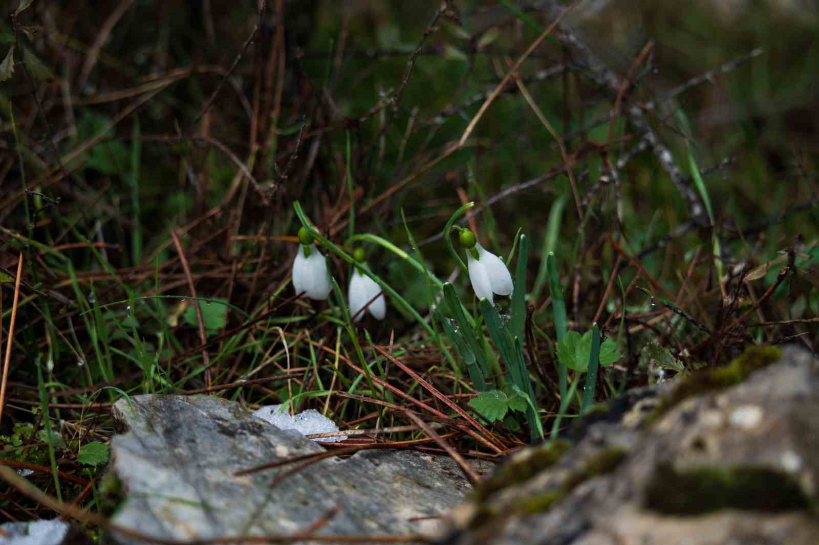 Taşkınlara neden olan yağmurlar kuruyan şelaleyi canlandırdı
