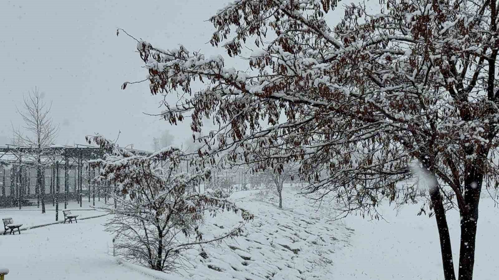 Tatvan’da kar yağışı
