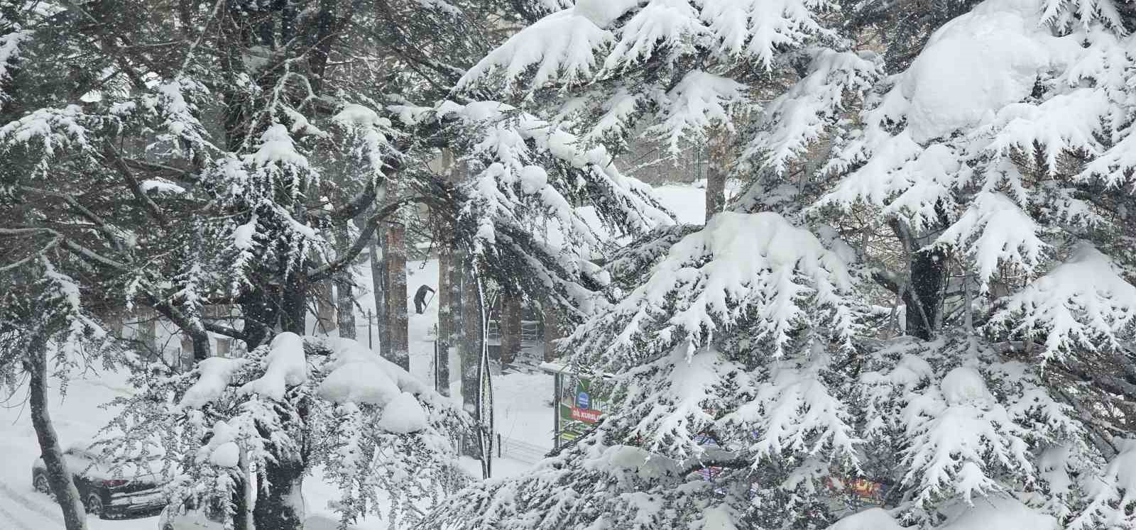 Tatvan’da sibirya soğukları etkili oluyor: Çatılarda metrelerce buz sarkıtları oluştu
