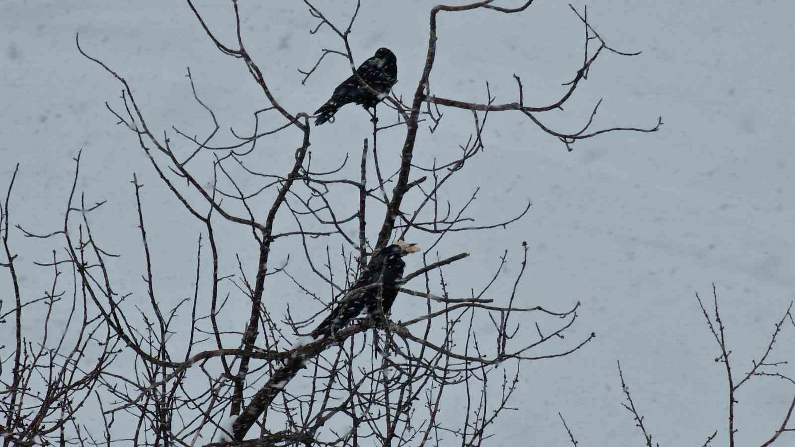 Tatvan’da yürekleri ısıtan davranış
Tatvan’da yürekleri ısıtan davranış