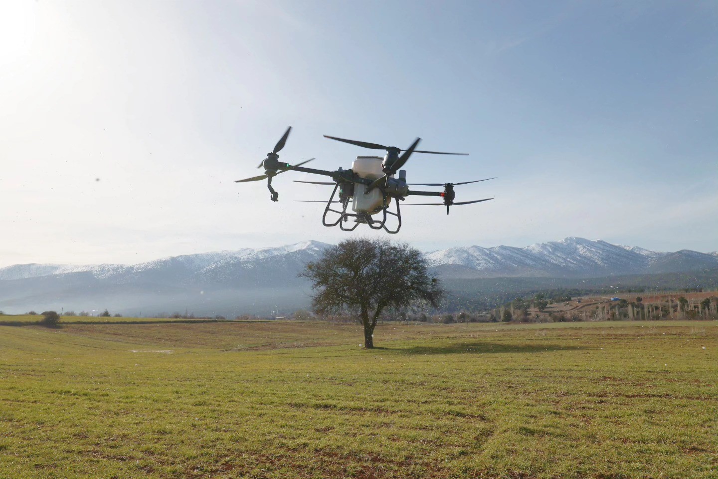 Tavas Belediyesinden çiftçiye dronlu gübreleme desteği

