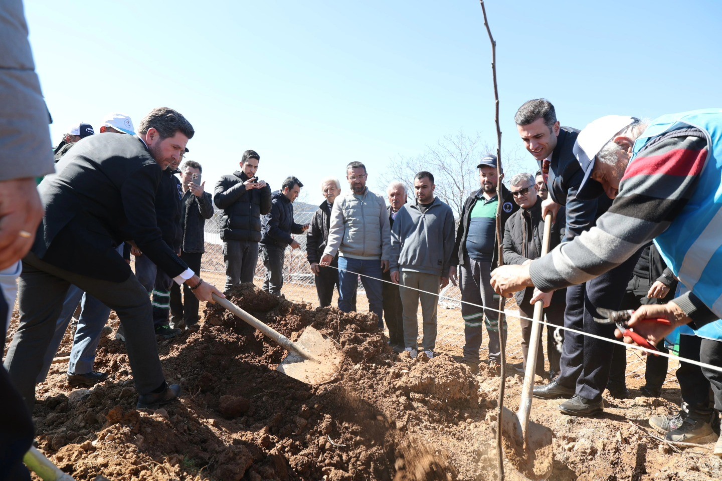 Tavas’ta "Ağaçta Birlik, Gelecekte Dirlik" projesi hayata geçti
