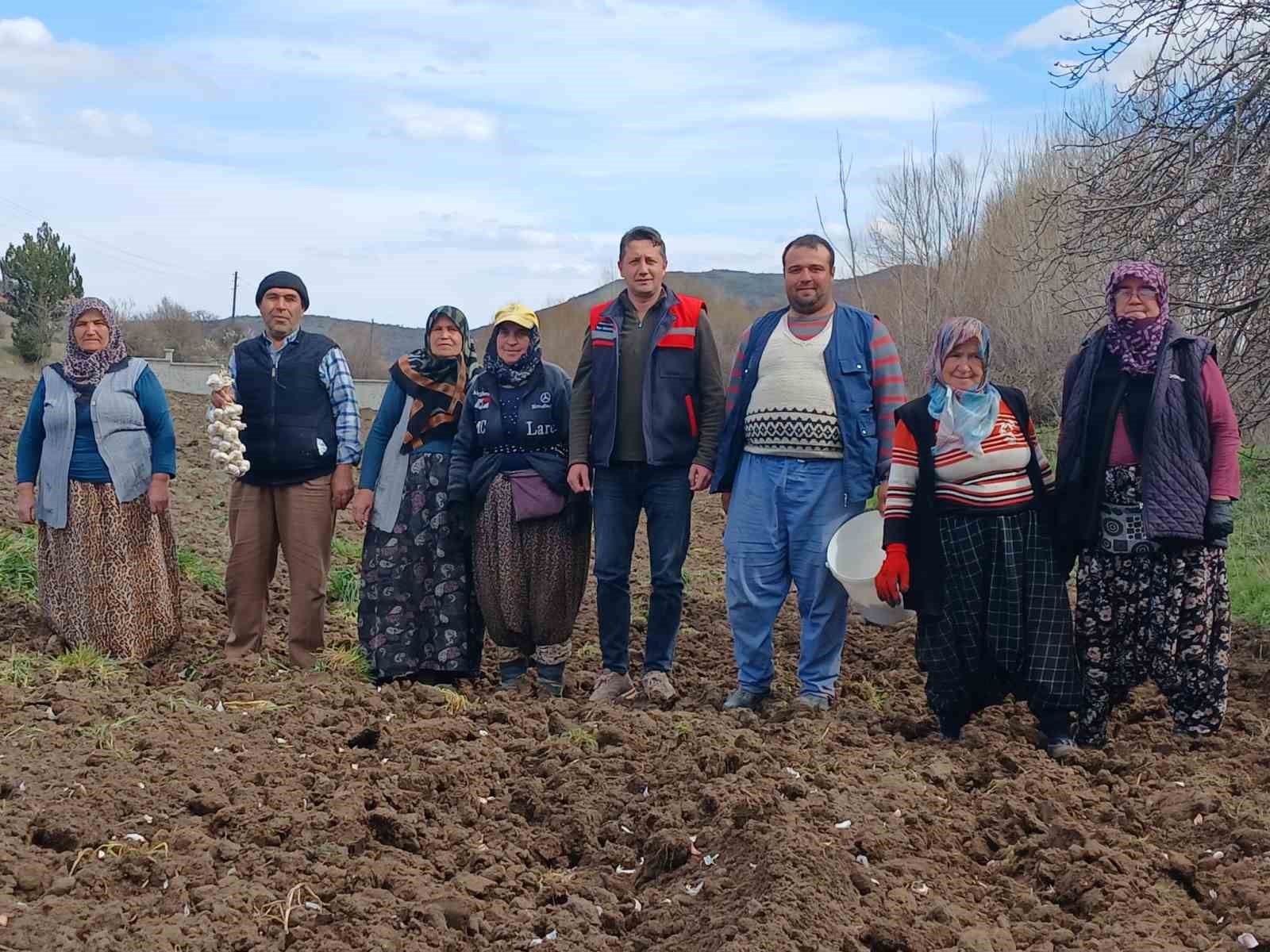 Tavşanlı ’Köprücek Sarımsağı’ artık çiftçilere ciddi gelir sağlıyor
