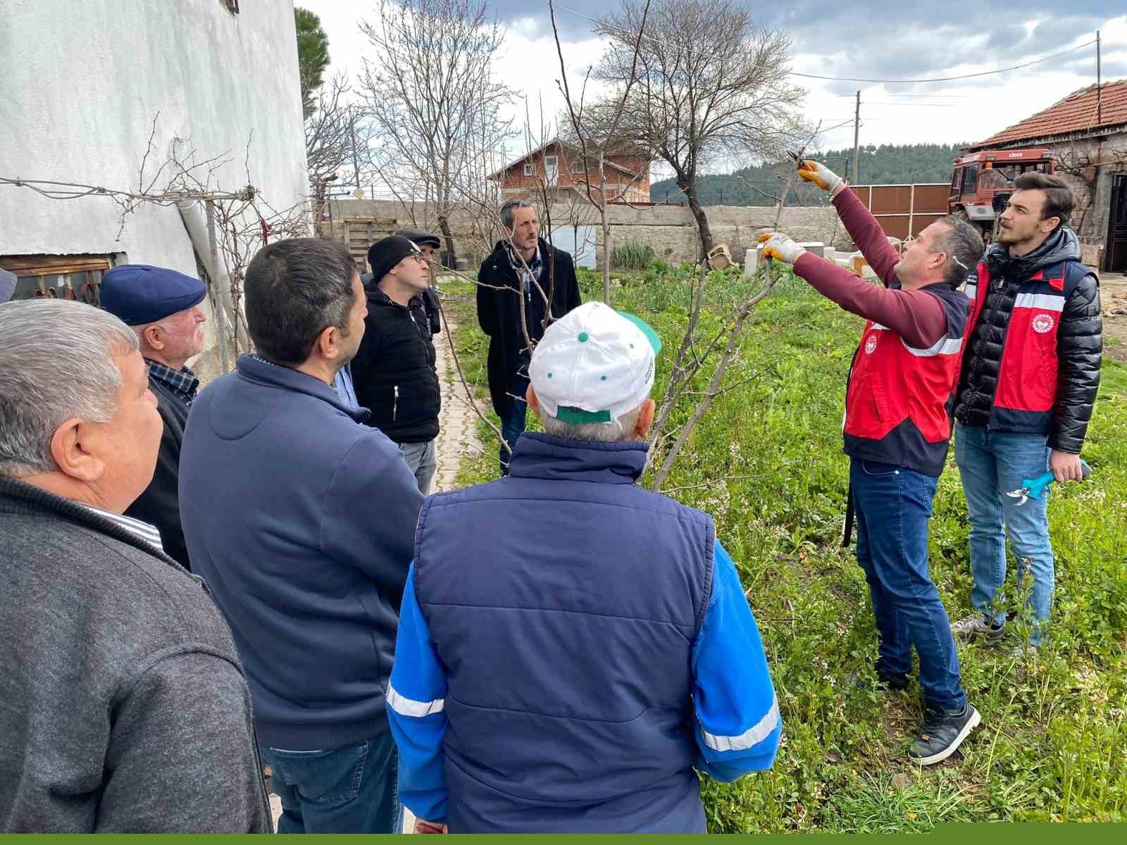 Tavşanlı’da meyve üreticilerine budama eğitimi
