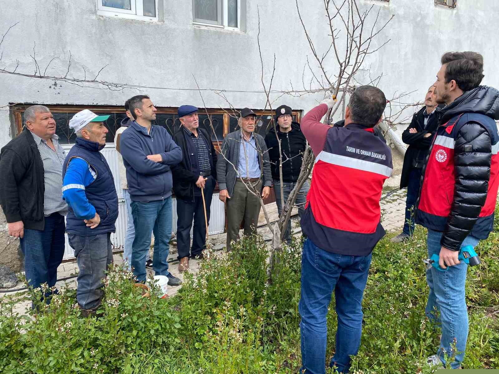 Tavşanlı’da meyve üreticilerine budama eğitimi
