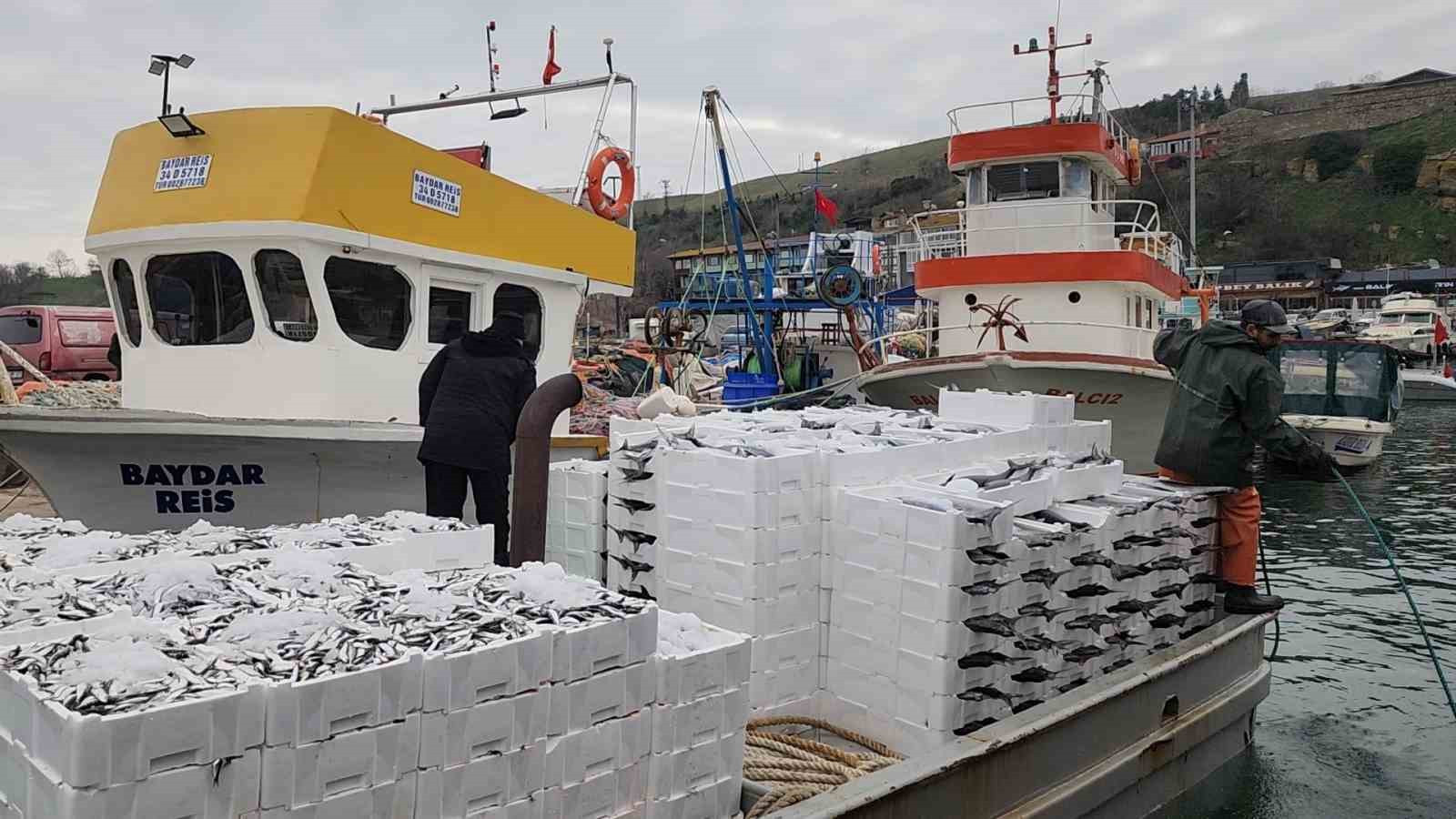 Tekirdağ açıklarında torik bereketi
