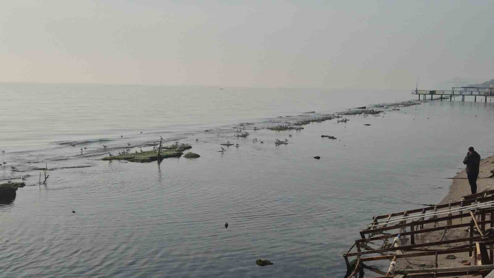 Tekirdağ deniz çekildi ’Kral yolu’ ortaya çıktı

