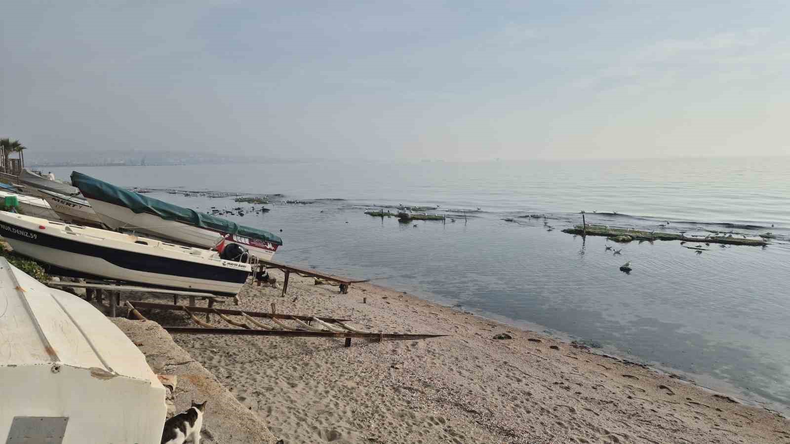 Tekirdağ deniz çekildi ’Kral yolu’ ortaya çıktı
