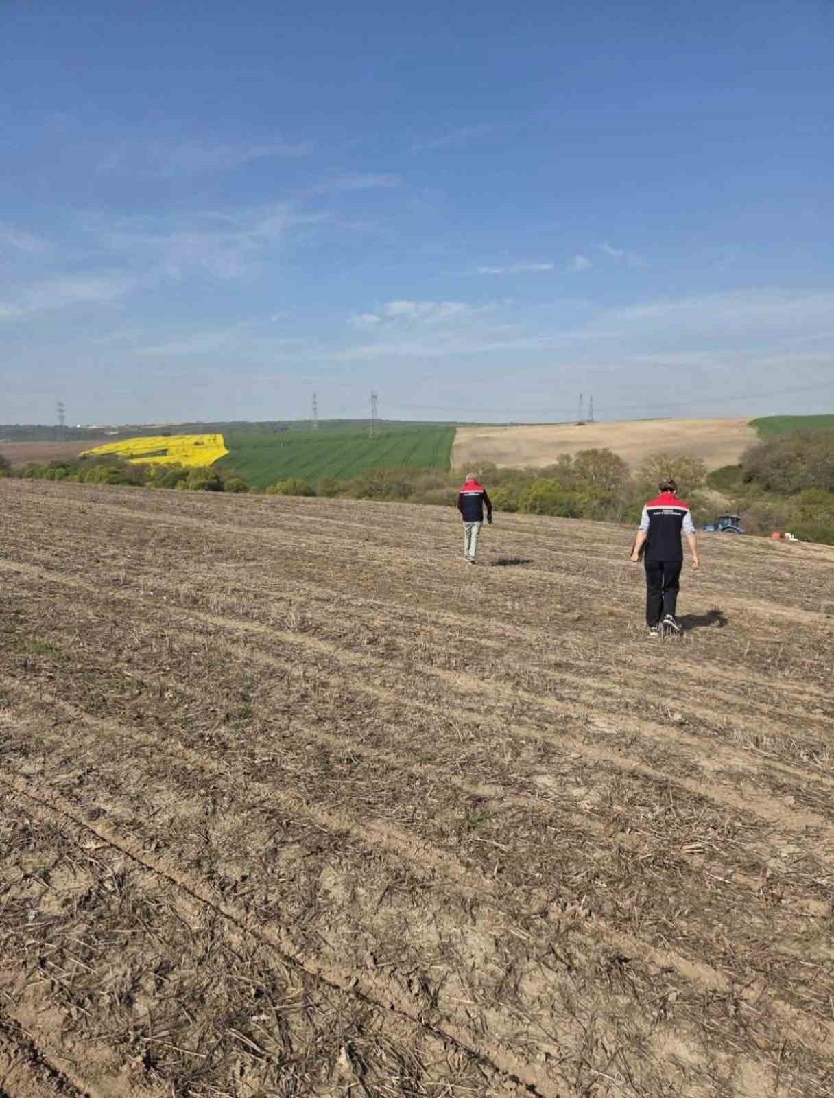 Tekirdağ’da ayçiçeği tohumları anıza ekim yöntemiyle toprakla buluştu
