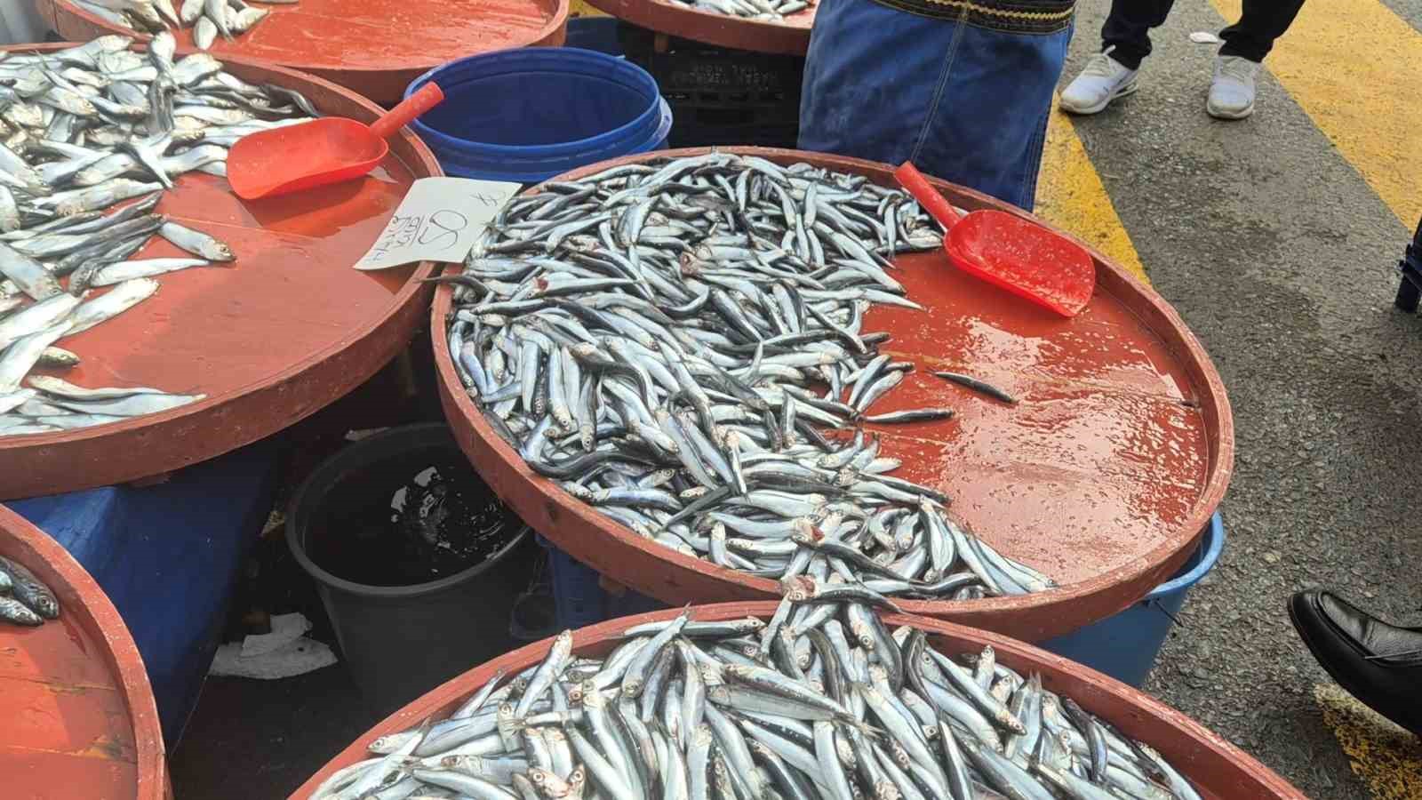 Tekirdağ’da hamsi 50 TL’ye düştü
