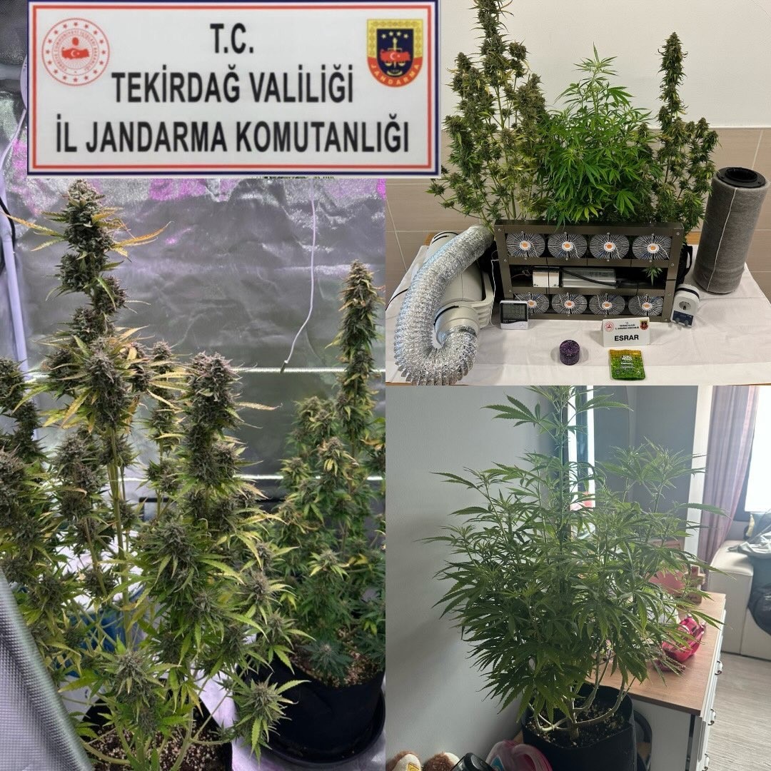 Tekirdağ’da jandarma bir ayda 188 şüpheliye işlem yaptı
