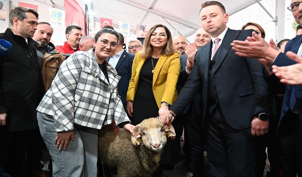 Tekirdağ’da küçükbaş hayvancılık festivali
