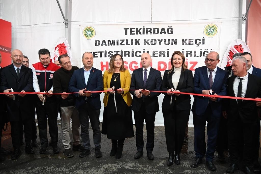 Tekirdağ’da küçükbaş hayvancılık festivali
