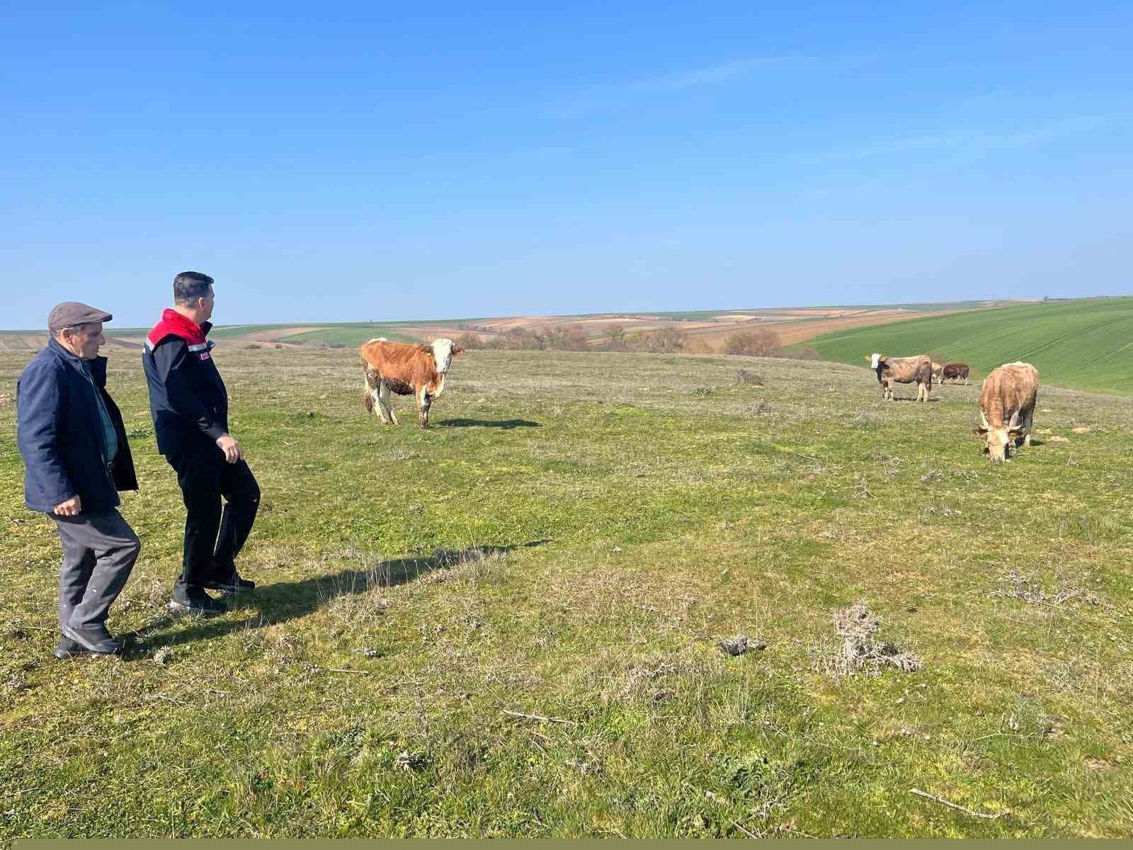 Tekirdağ’da meralara can suyu
