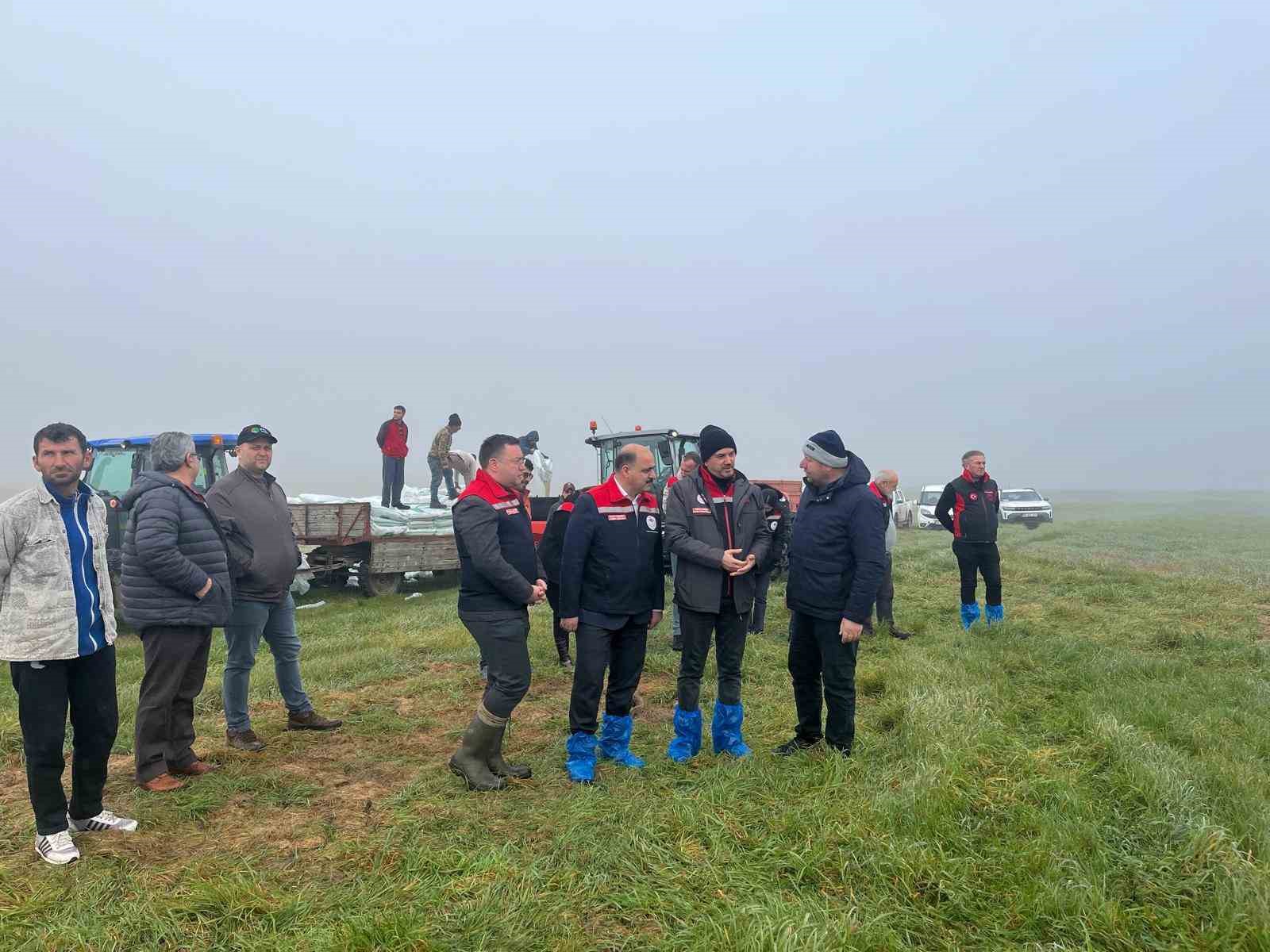 Tekirdağ’da meralarda gübreleme çalışması başladı
