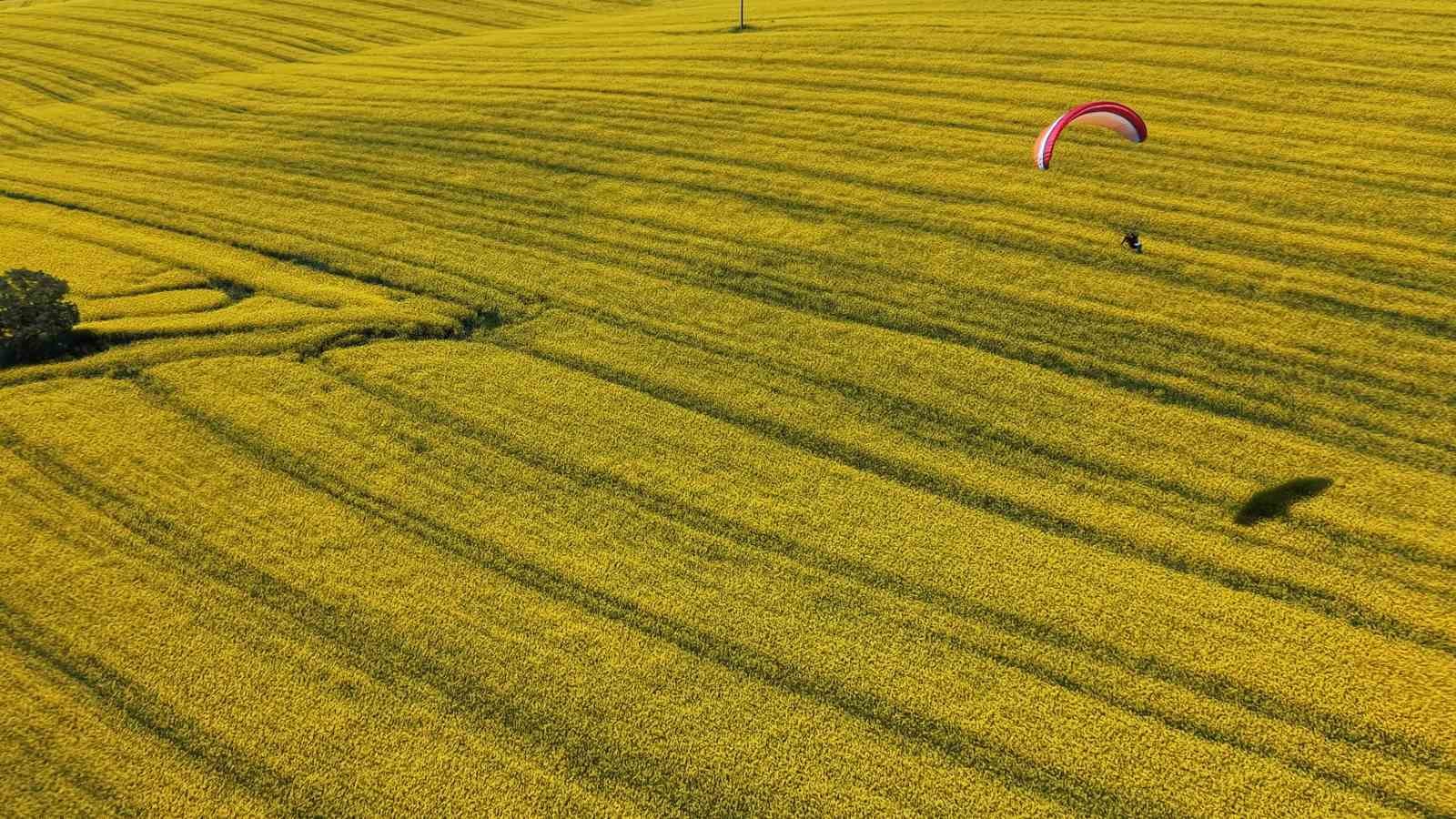 Tekirdağ’da sarı şölen: Paramotorlar sarı tarlaları gezdi
