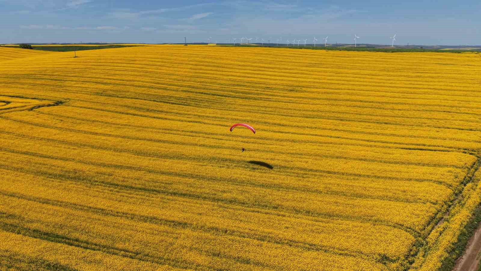 Tekirdağ’da sarı şölen: Paramotorlar sarı tarlaları gezdi

