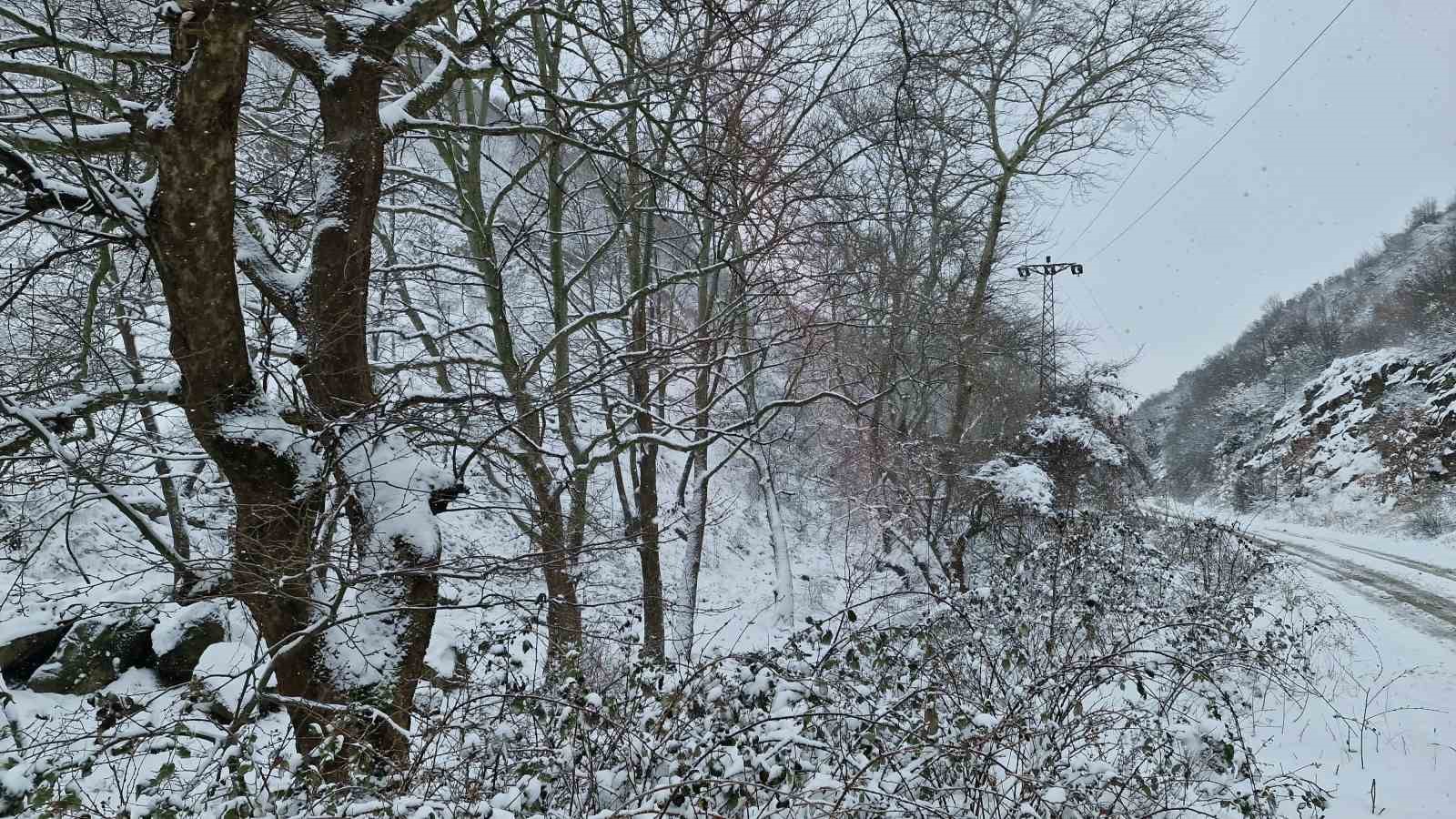 Tekirdağ’ın yüksek kesimleri yağan karla beyaza büründü
